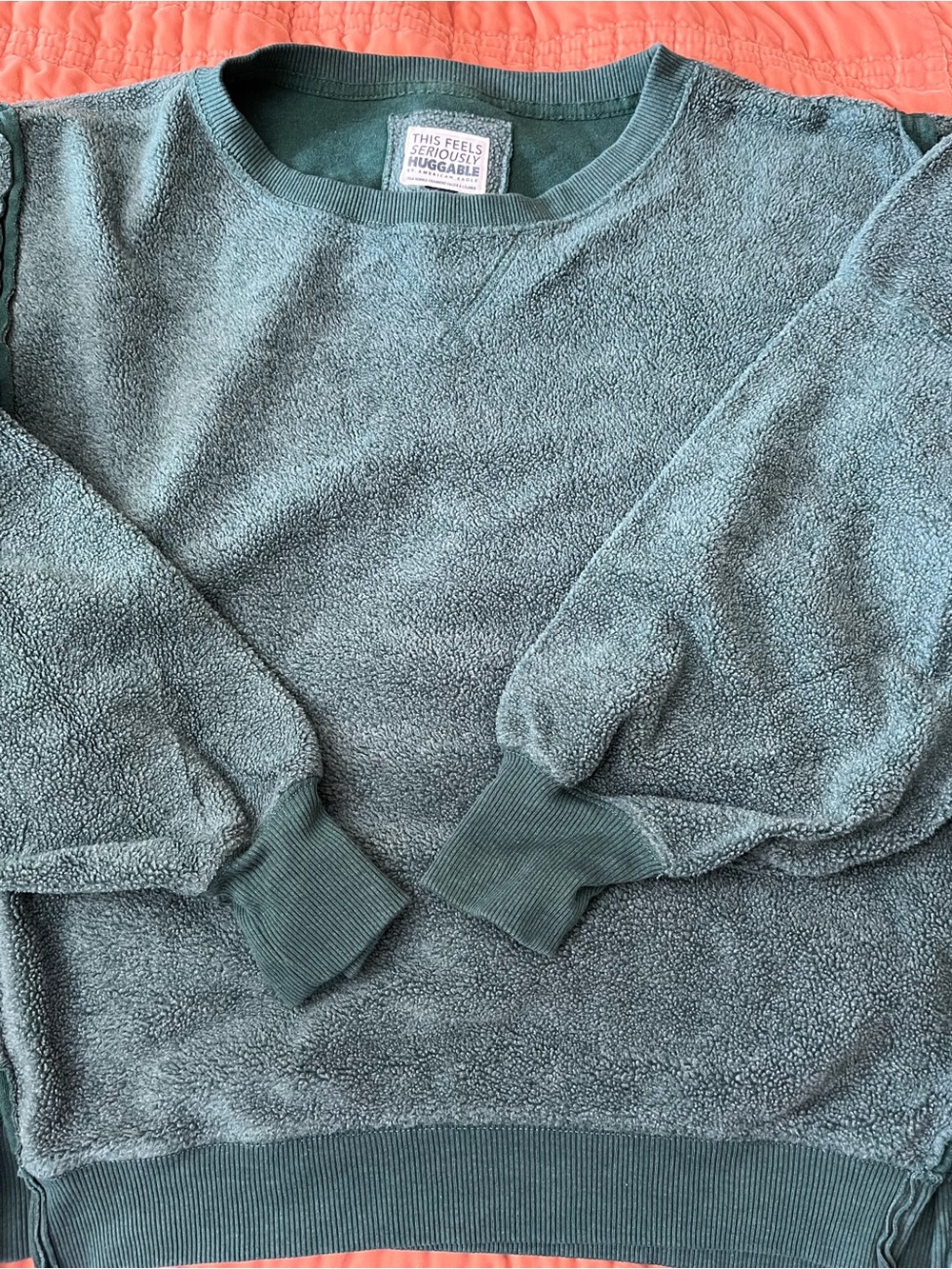 American Eagle Outfitters Plush Crewneck Sweater and Bottoms in Green